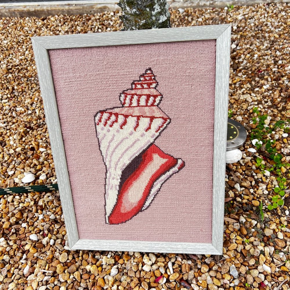 Needlepoint Framed Seashell Completed Sea Life Coastal Beach Cottage Nautical